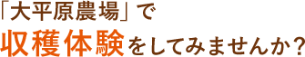 「大平原農場」で収穫体験をしてみませんか？