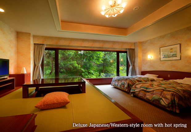 Deluxe Japanese/Western-style room with hot spring