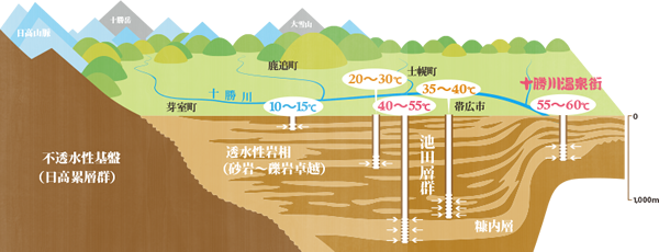 植物性モール温泉